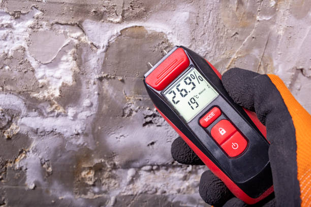 Best Toxic Mold Removal  in Bothell, WA