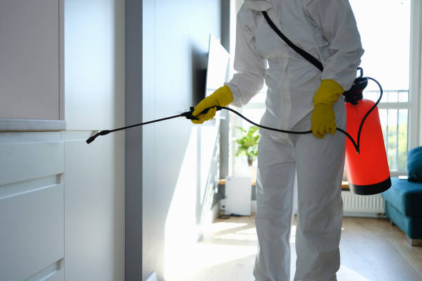 Best Mold Damage Repair  in Bothell, WA