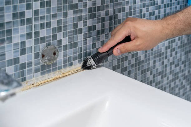 Best Attic Mold Removal  in Bothell, WA